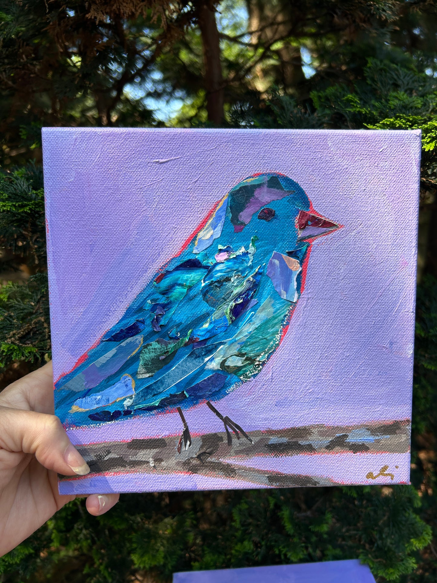 Papa Indigo Bunting