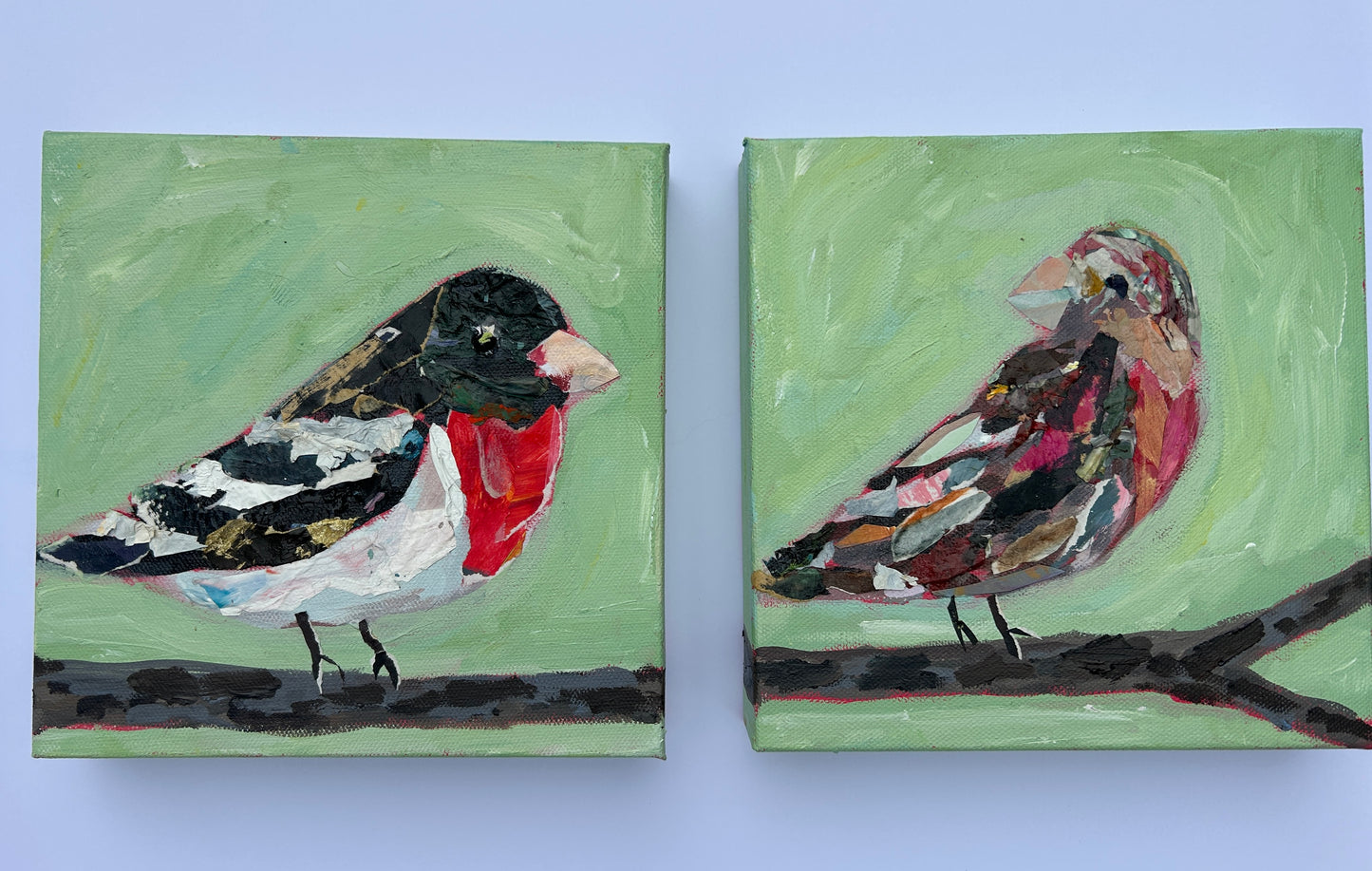 Papa Grosbeak
