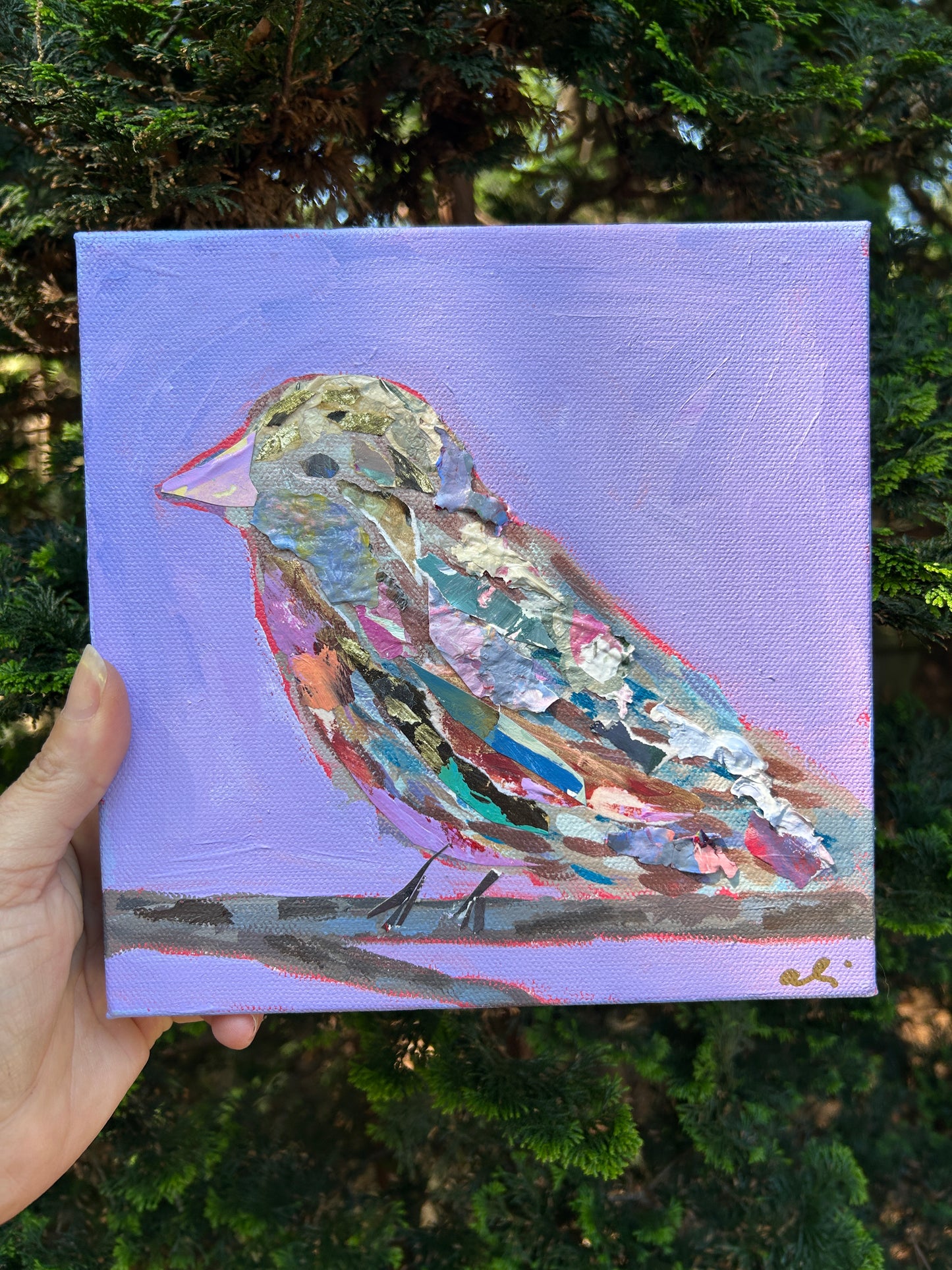 Mama Indigo Bunting