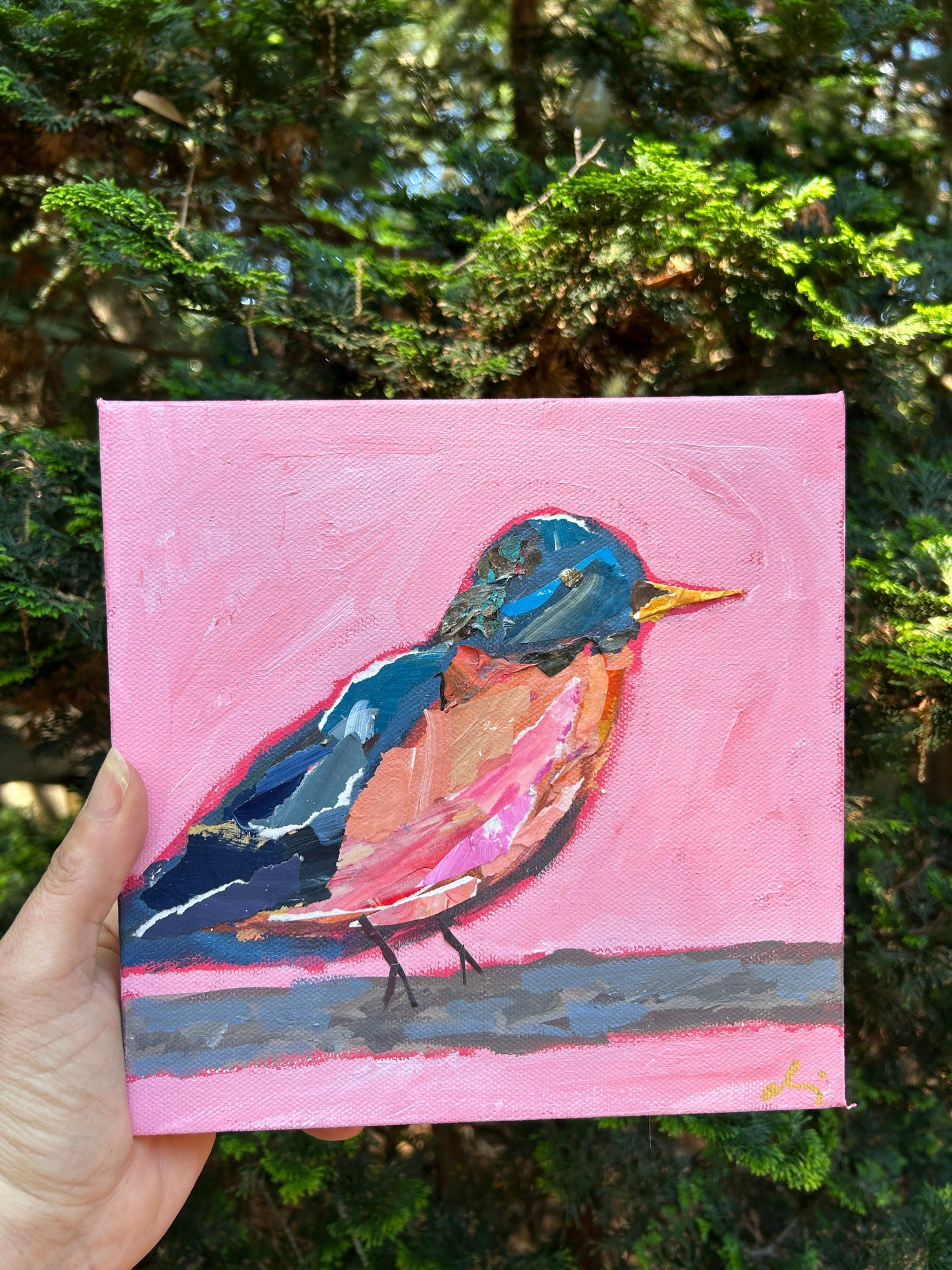Papa Robin