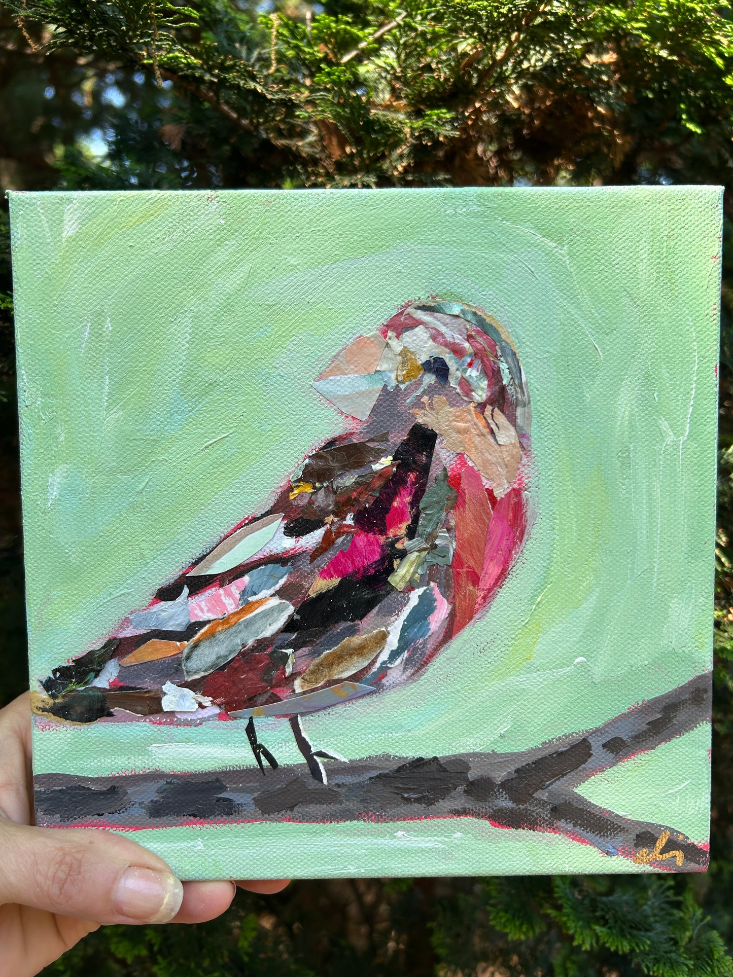 Mama Grosbeak