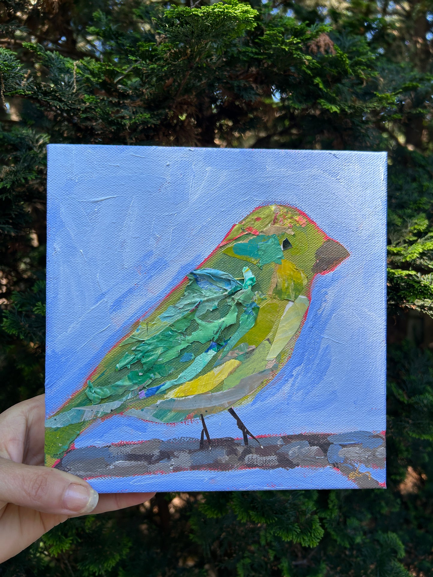 Mama Painted Bunting