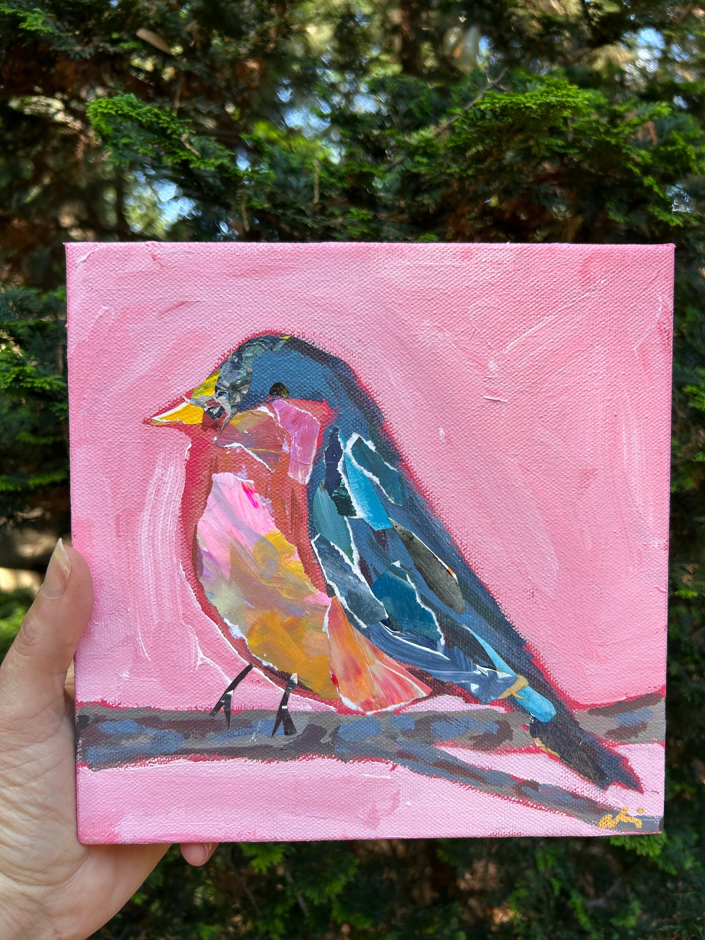 Mama Robin