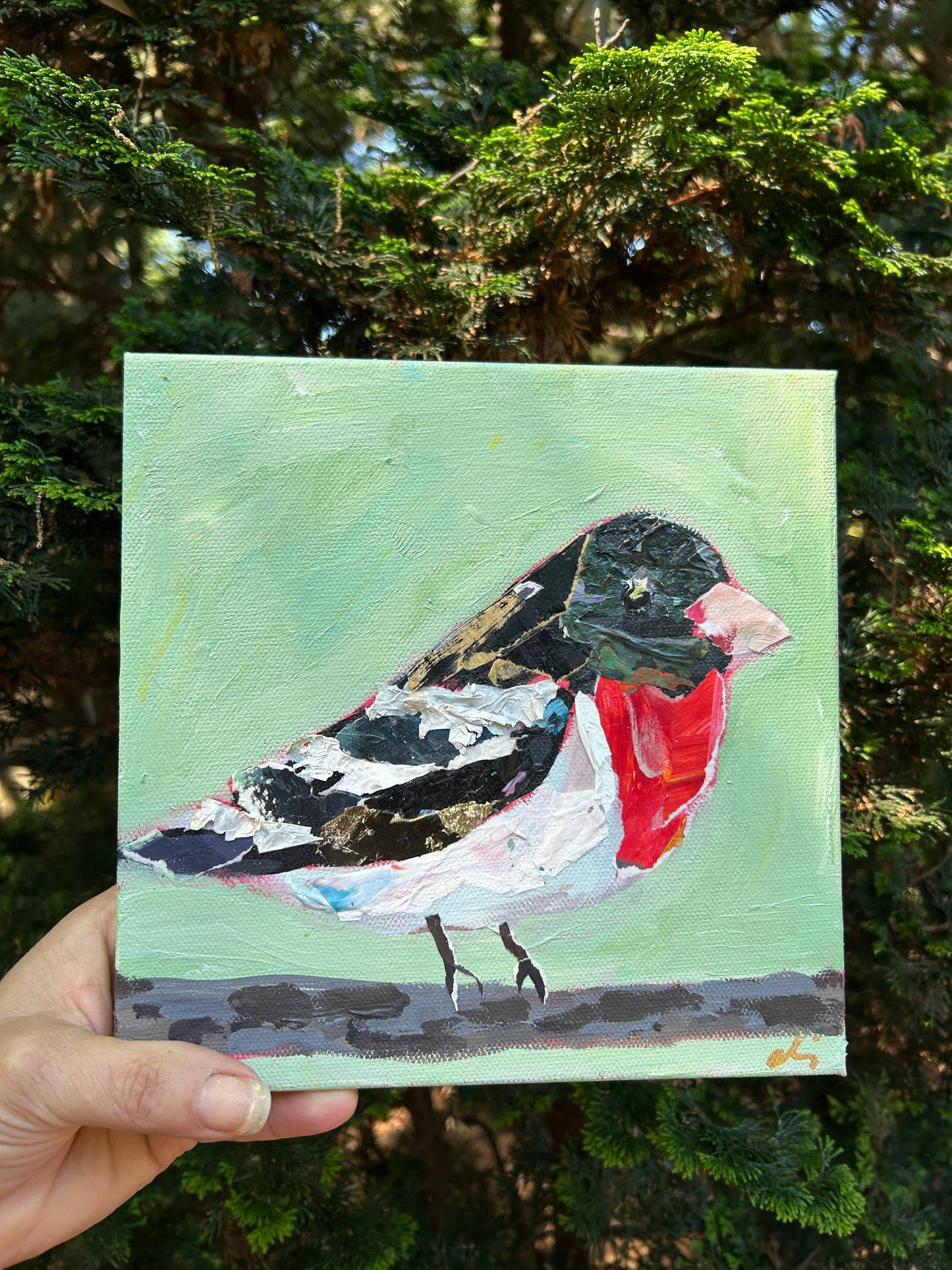 Papa Grosbeak