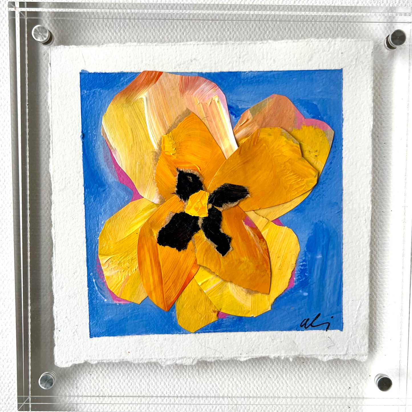 Pansy Original: Sunny Skies