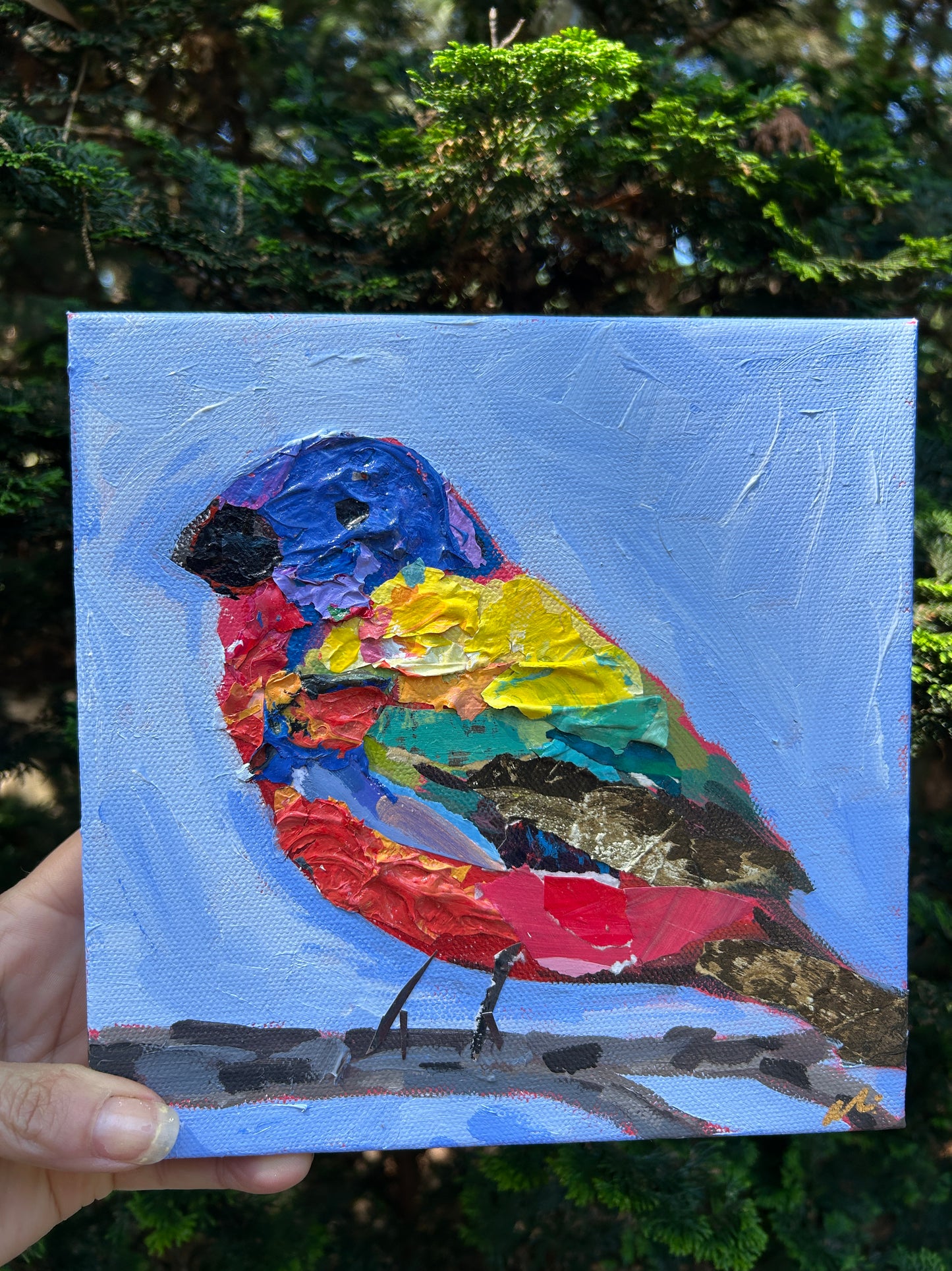 Papa Painted Bunting