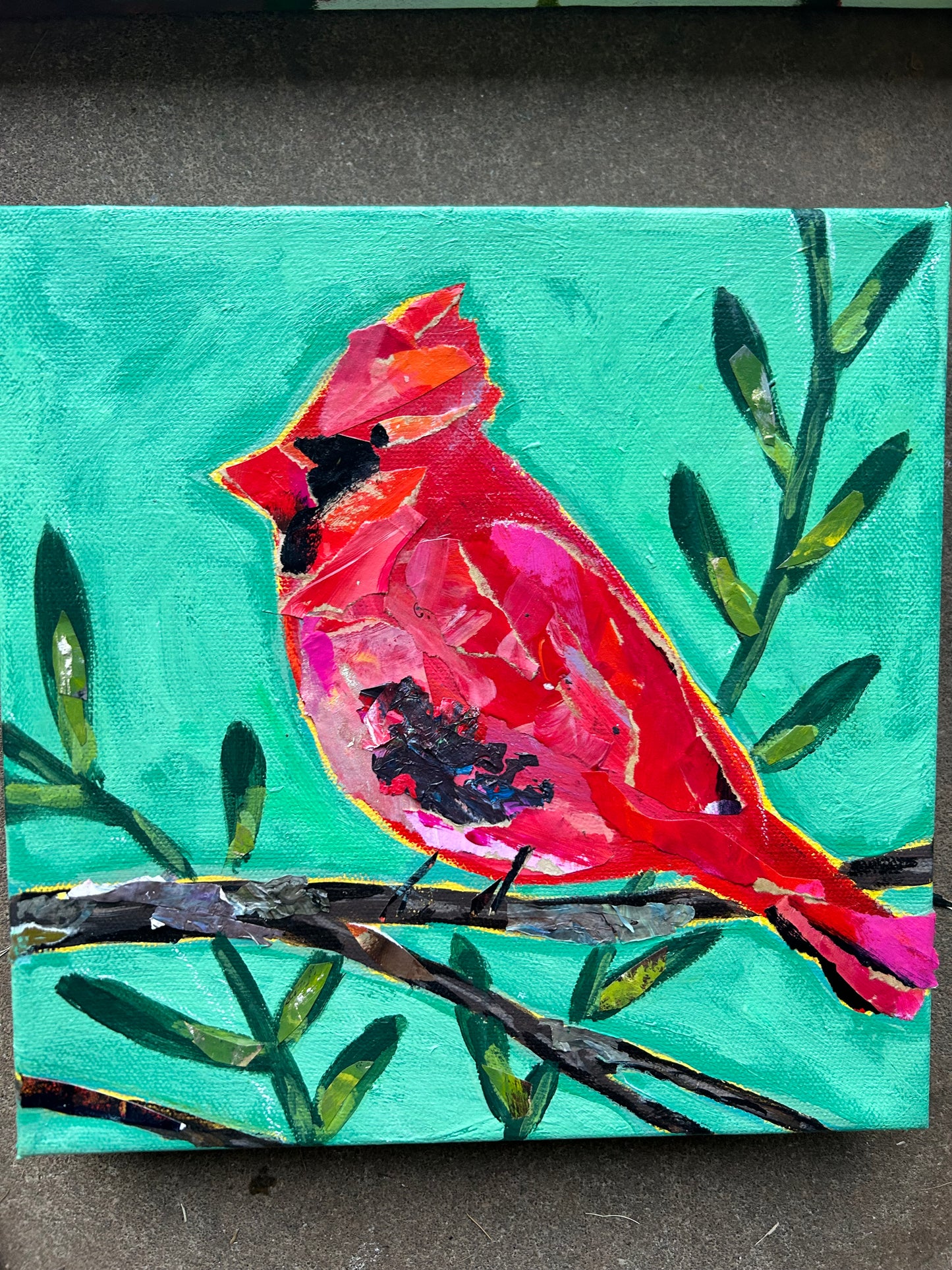Daddy Cardinal