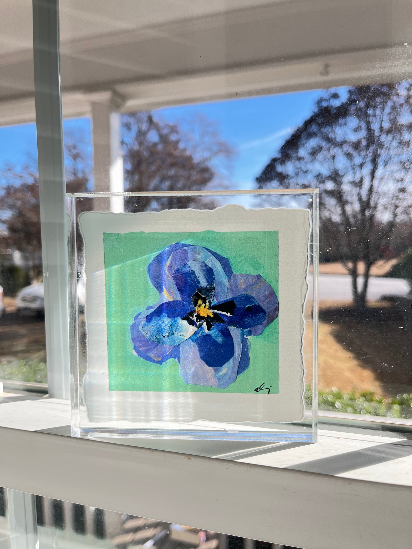 Pansy Acrylic block : Bluebird