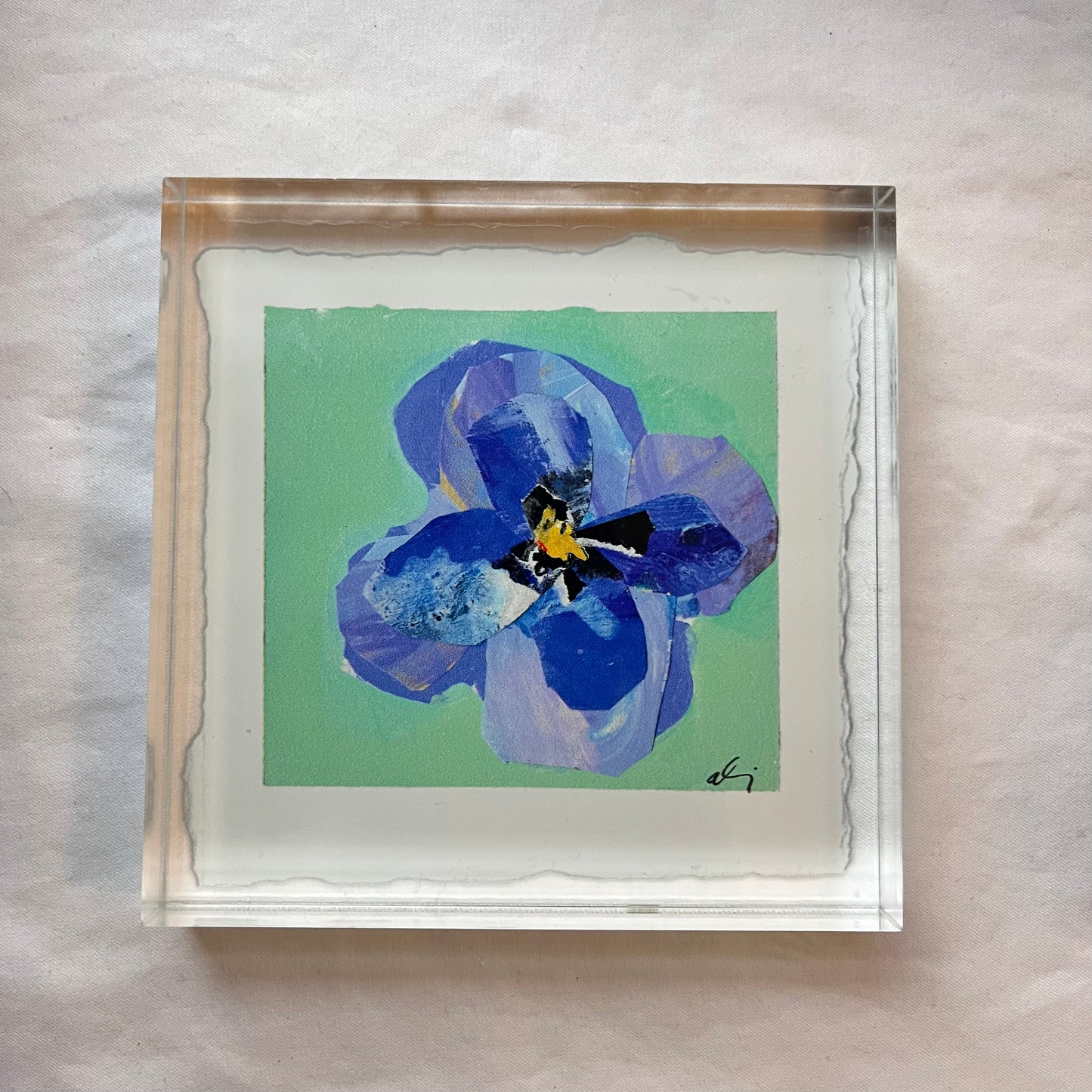 Pansy Acrylic block : Bluebird