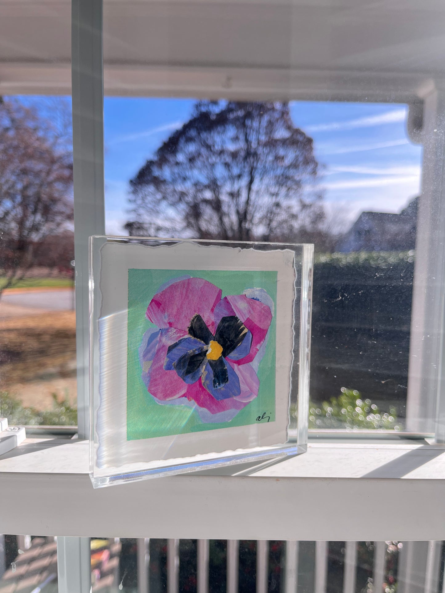 Pansy Acrylic block : Sunset