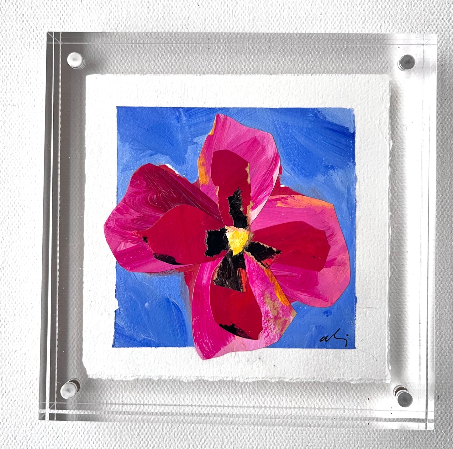 Pansy Original: Candied Apple