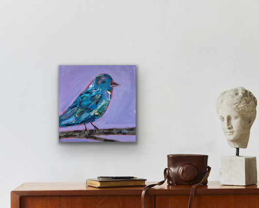 Papa Indigo Bunting