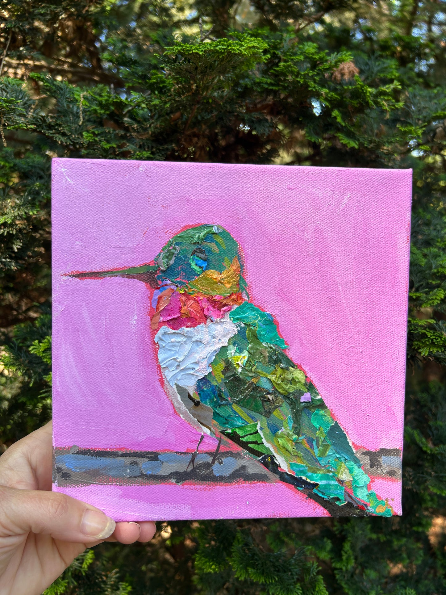 Papa Hummingbird