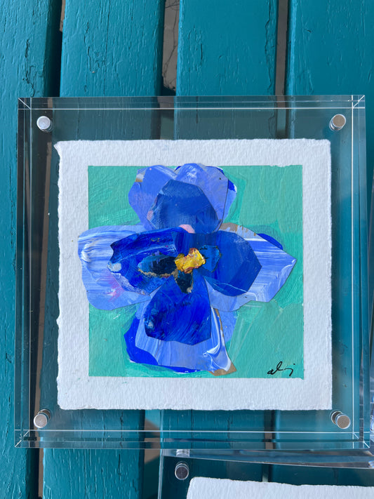 Pansy Original: Cornflower Blue